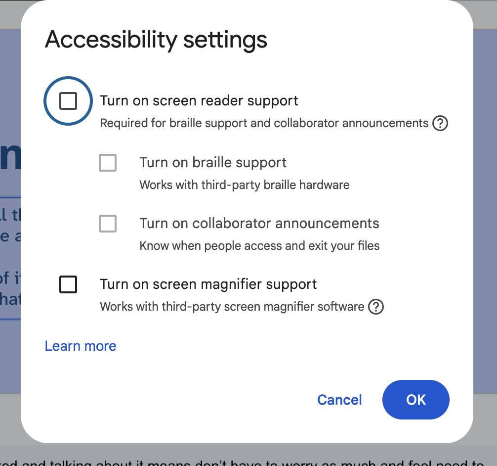 Screenshot of the Google Slides accessibility menu item dialog. It shows options for screen reader and screen magnifier support.