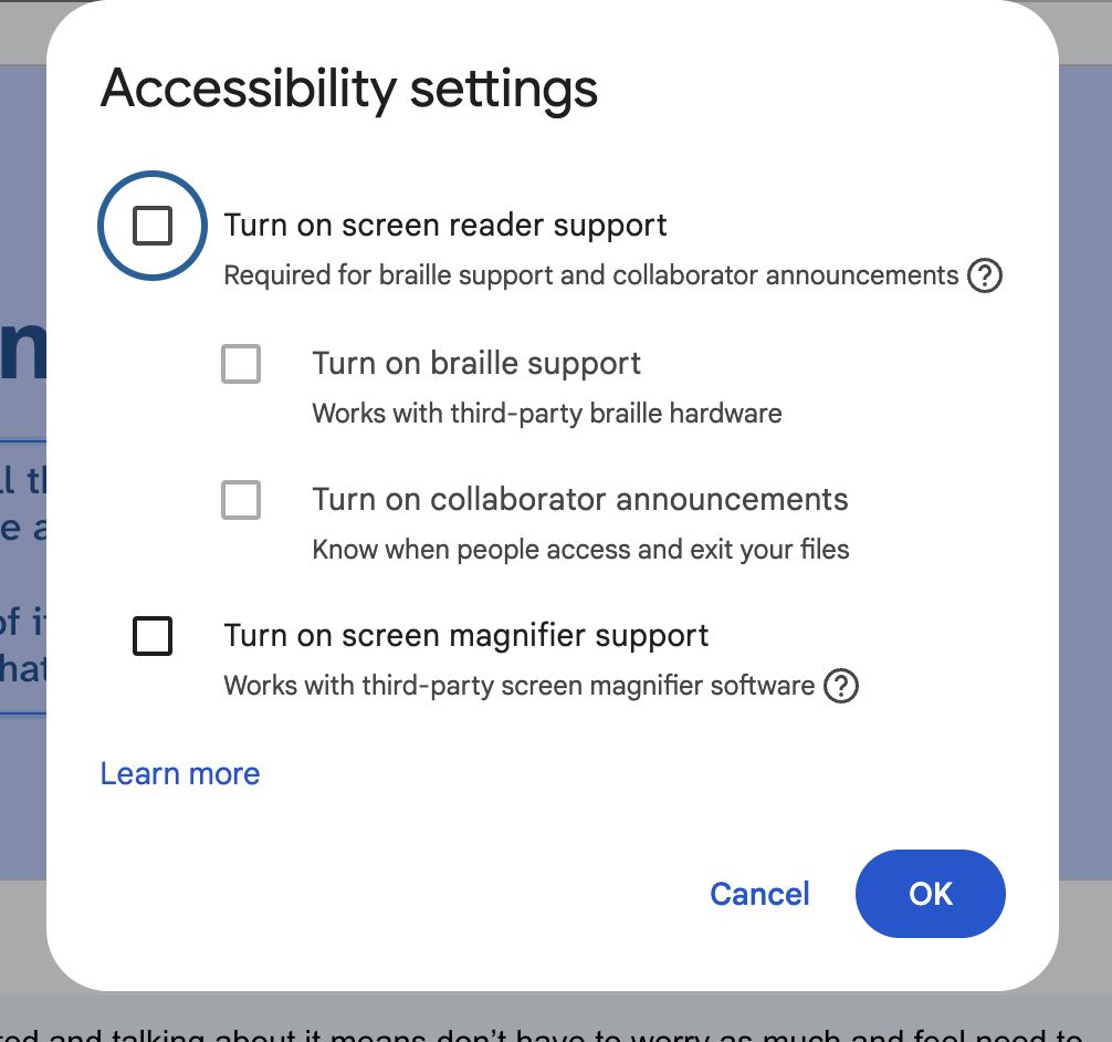 Screenshot of the Google Slides accessibility menu item dialog. It shows options for screen reader and screen magnifier support.