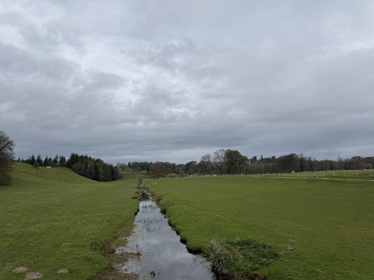 Landscape photo of a green field with a stream running through the middle. There are some trees in the background with a moody looking grey, but bright sky.